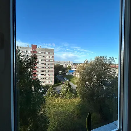 Sunny *