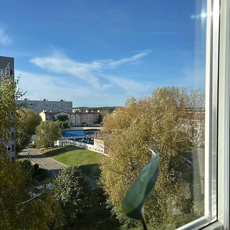 Sunny * سفينويتشي