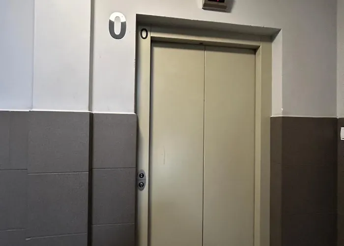 Sunny سفينويتشي