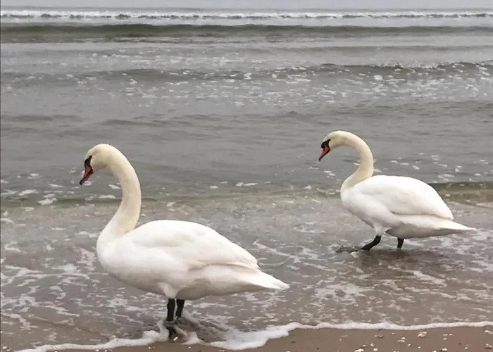 דירה Sunny Świnoujście